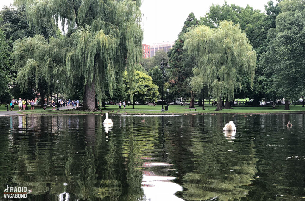 Boston har den ældste offentlige park i USA. Boston Common blev indviet i 1634.