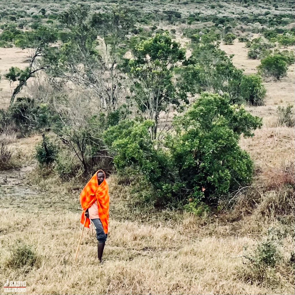 Man ser Masaier overalt i Masai Mara